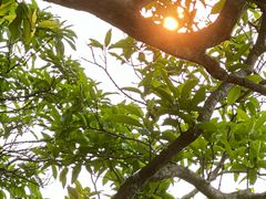 -海口观澜湖火山温泉谷