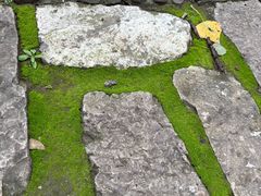 -森林公园(尖草坪区)