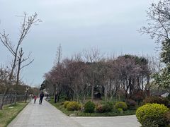 -枫桥景区