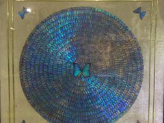 -上海昆虫博物馆