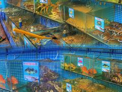 -范饭椰林川湘味海鲜·椰子鸡(三亚湾椰梦长廊店)