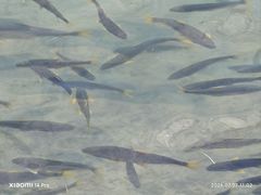 -青海湖二郎剑景区