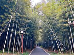 -孙武文化园-停车场