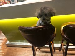 -默迹咖啡馆