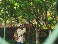 -杭州城北体育公园