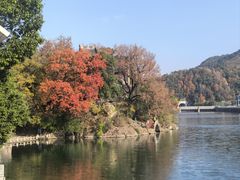 -蒋氏故居
