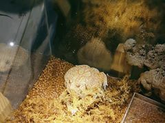 -绿色星球动物主题公园