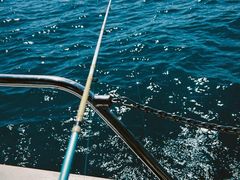 -小猫钓鱼海钓俱乐部(椰梦长廊店)