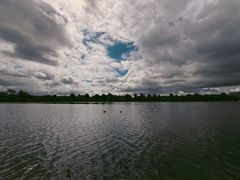 -海德公园