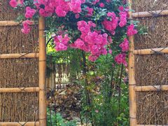 -谷咖啡·鲜花绿植花园餐厅