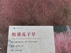 -羊亭河湿地公园