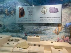 -辽宁古生物博物馆