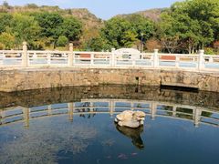 -白马涧龙池景区