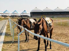 -敕勒川草原文化旅游区