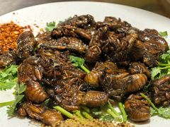 -三中高皇羊肉馆