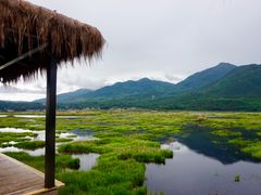 -腾冲北海湿地
