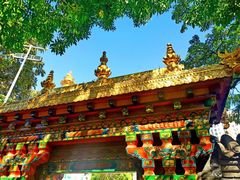 -护国法轮寺