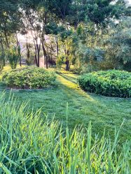 -大望京儿童游乐场