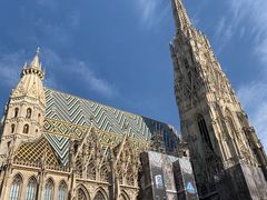 -斯蒂芬主教座堂(Stephansdom)