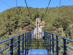 -九龙江国家森林公园