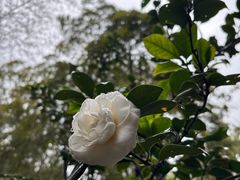 -东明山森林公园