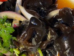 大巴山椴木木耳-黑鸡小馆(金源店)