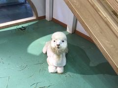 -藦茜花园宠物主题亲子互动体验馆(国顺东路店)