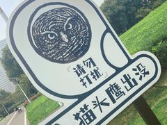 -南京奥林匹克体育中心