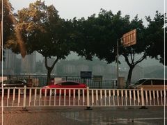 -重庆两江夜游-交运系列