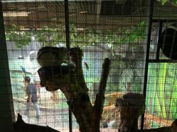 -Zoolung Zoolung动物主题公园(海信广场店)