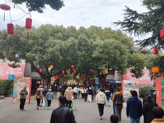 -鲁镇