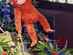 -涨巢·潮玩水疗局