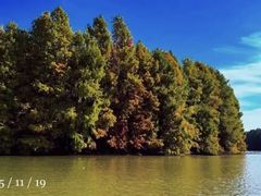 -上海海湾国家森林公园