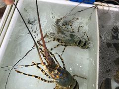 -拉威海鲜市场