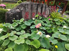 -广州莲花山旅游区