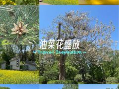 -北坞公园