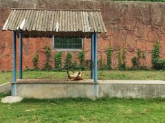 -无锡动物园·太湖欢乐园