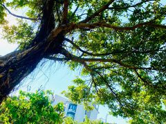 -白沙门生态公园