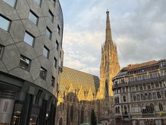 -斯蒂芬主教座堂(Stephansdom)
