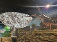 -辽宁古生物博物馆