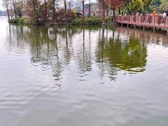 -海珠湖公园