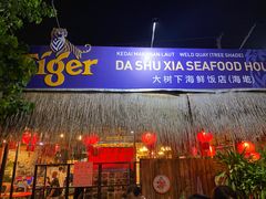 -大树下海鲜饭店