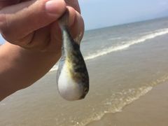 -南澳海滩