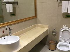 -维也纳酒店(广州惠福西上下九店)