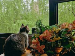 -IFIF 如果花園(宽厚里店)