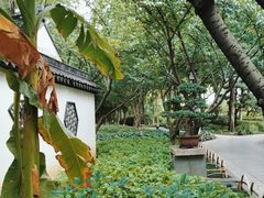 -枫桥景区