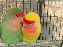 -老味道民宿(栈桥店)