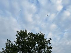 -盈香心动乐园