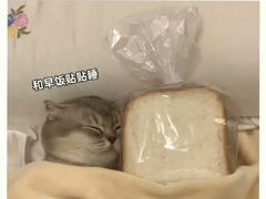 -吴裕泰茶庄(西单店)