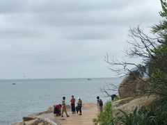 -广东惠东海龟国家级自然保护区